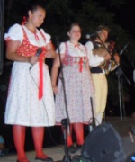 Czech musicians